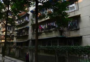 金竹苑B区3室2厅西南南