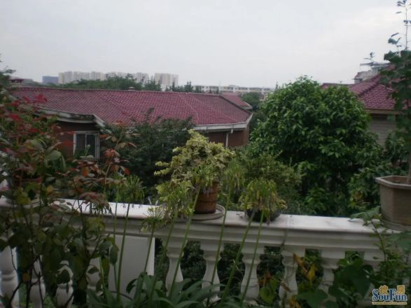 武侯别墅一期实景图