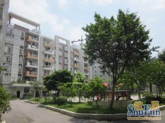 康丽花苑实景图