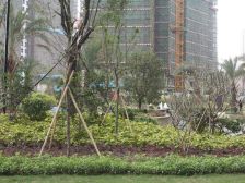 保利东江首府4室2厅东南