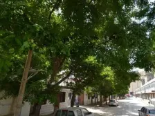 二勘院东区正规两室一厅 采光好 看房方便