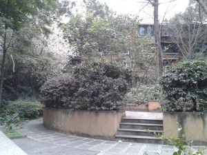 东方新城一期3室2厅东