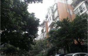 海天阁 2室1厅 南