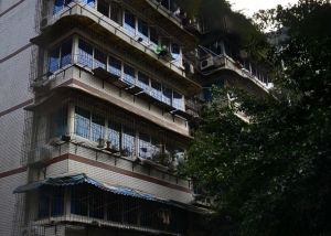 西林巷22号4室2厅东北