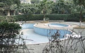 西景花园1室1厅南