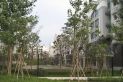 维也纳花园实景图