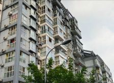 colour彼岸1室1厅南北