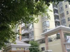 东怡花园新区电梯三房,中间楼层,望花园,有匙即看