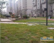 首信首御 3室1厅 西南