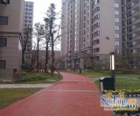 首信首御 3室1厅 东 南 西 北