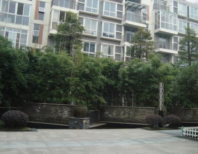 小区相关图