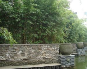 德坤竹韵坊 3室1厅 东南