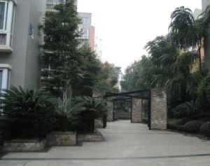 德坤竹韵坊2室1厅东南