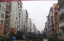 四季香榭实景图