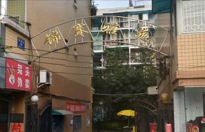 锦赛雅苑3室2厅东南