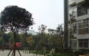 万家华庭2室2厅东南