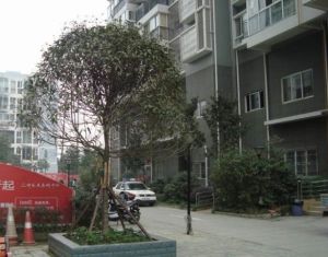 万家华庭2室1厅南