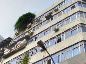 小南街公寓2室1厅东南