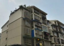 双水康城A区2室1厅南