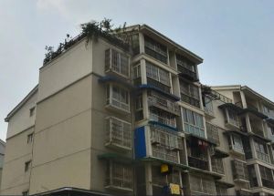 双水康城A区2室1厅南