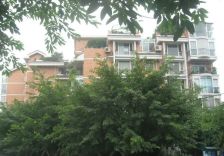 汇景新村(金牛) 6室2厅 东南