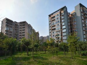 沙河路苑2室1厅南