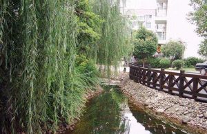 蔚蓝花城B区2室1厅东南