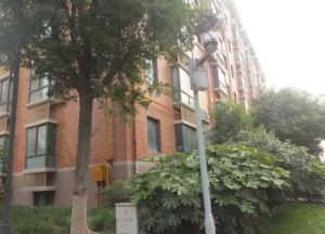 蔚蓝花城A区 2室2厅 东南