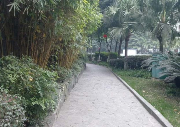 金沙园三期实景图