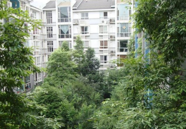 金沙园三期实景图