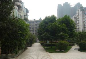 西延锦绣3室2厅西南