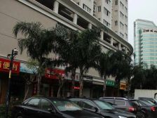 华林路,二环内,电梯高层,朝南,居家小户型