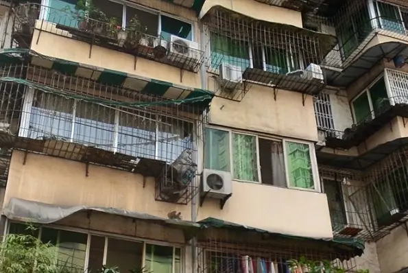 老马路6号院实景图