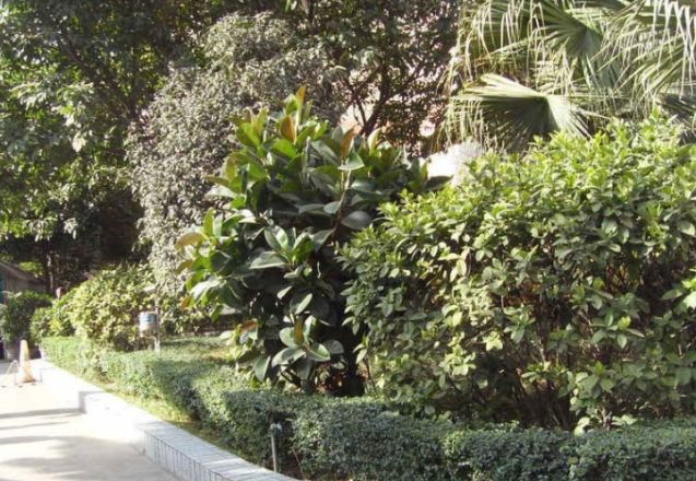 白领尊邸实景图