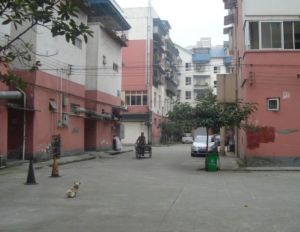 金强柳浪湾4号院 2室1厅 西南