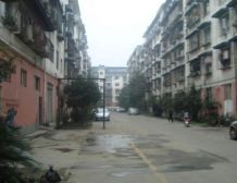 金强柳浪湾1号院 3室1厅 西南 东北