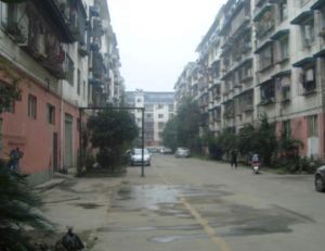 金强柳浪湾1号院3室1厅西南东北