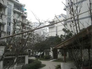 凤凰栖4室2厅南