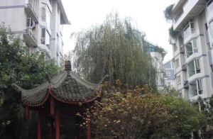 凤凰栖4室2厅南