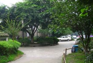 凤凰栖3室2厅南