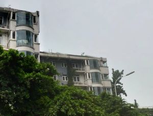 凤凰栖3室1厅南北