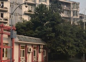 凤凰栖3室2厅南
