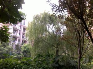 静居嘉苑4室2厅南
