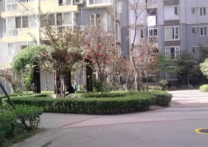 小区相关图