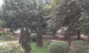 镇面大三房 采光通风 业主已番新