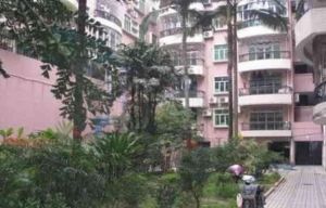 大良尚雅苑大户型南北对流双阳台小区管理