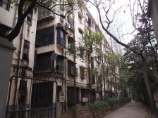 人民新村社区2室1厅南