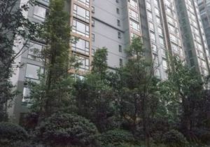置信清水湾3室2厅南