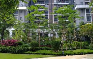 罗村金丽花园3房2厅五年唯一税少