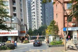 凤栖桐2室1厅东南